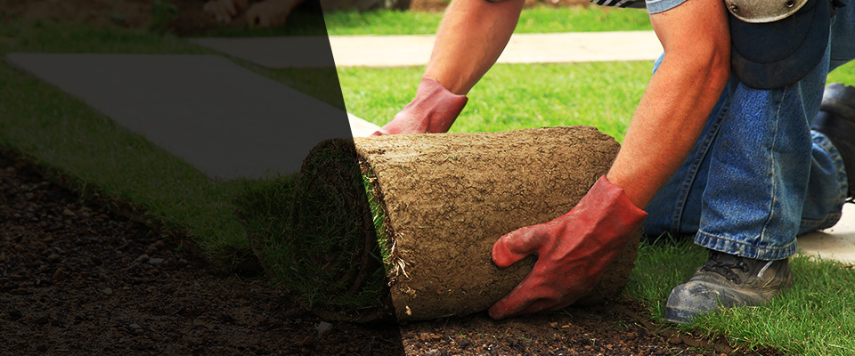 Farwell Landscapers